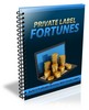 Thumbnail Private Label Fortunes - Viral Report