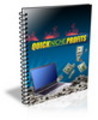 Thumbnail Quick Niche Profits - eBook and Audio (PLR)
