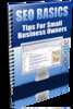 Thumbnail SEO Basics (PLR)