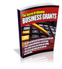 Thumbnail Secrets to Winning Business Grants (PLR)