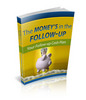 Thumbnail The Money is in the Followup plr Thumbnail The Money is in the Followup plr
