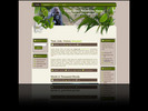 Thumbnail Wildfire Minisite Template and Wordpress Theme 3 Pack