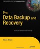 Thumbnail *NEW!* Pro Data Backup and Recovery eBook