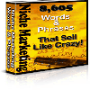 Thumbnail *NEW!*  8605 Niche Marketing Words And Phrases That Sell Like Crazy!