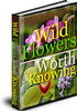 Thumbnail  *NEW!* Wild Flowers Worth Knowing