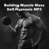 Thumbnail Building Muscle Mass Self Hypnosis Script mp3 
