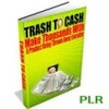 Thumbnail Trash To Cash PLR