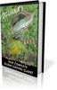Thumbnail Best Book On Iguana Care