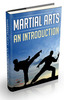 Thumbnail Martial Arts An Introduction