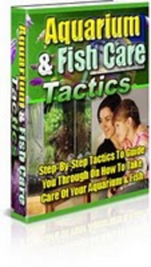**HOT TIPS** Aquarium Fish Care Tactics Tradebit