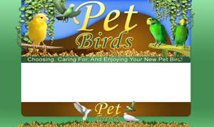 Thumbnail Pet Birds PSD Minisite HTML Graphics Ready Made Web Template