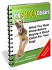 Thumbnail How to buy a Shock Collar For Your Pet Dog!