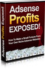 Thumbnail Adsense Profits Exposed