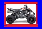 Thumbnail DOWNLOAD YAMAHA RAPTOR 350 REPAIR MANUAL 04 05 06 07 08 09 