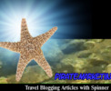 Thumbnail Travel Blog Articles With Spinner