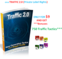 Thumbnail Traffic 2.0 - ***Special Edition include Private Label Rights and Bonus
