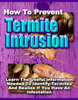 Thumbnail How to Prevent Termite Intrusion - termite control