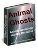 Thumbnail Animal Ghosts