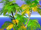 Thumbnail Palm trees