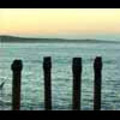 Thumbnail Royalty Free Stock Footage: New Zealand Coastal sunrise: NL00009