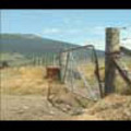 Thumbnail Royalty Free Stock Footage: New Zealand Farmland: NL00029