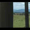 Thumbnail Royalty Free Stock Footage: New Zealand Farmland: NL00033