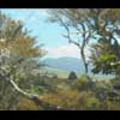 Thumbnail Royalty Free Stock Footage: New Zealand Scenery: NL00039
