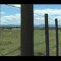 Thumbnail Royalty Free Stock Footage: New Zealand Farmland: NL00040