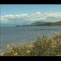 Thumbnail Royalty Free Stock Footage: New Zealand: NL00057
