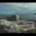 Thumbnail Royalty Free Stock Footage: New Zealand: NL00065