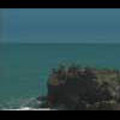 Thumbnail Royalty Free Stock Footage: New Zealand: NL00099