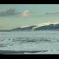Thumbnail Royalty Free Stock Footage: Antarctica: NL00123