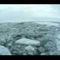 Thumbnail Royalty Free Stock Footage: Antarctica: NL00128
