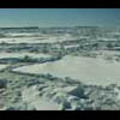 Thumbnail Royalty Free Stock Footage: Antarctica: NL00190