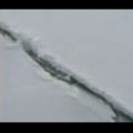 Thumbnail Royalty Free Stock Footage: Antarctica: NL00252