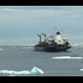 Thumbnail Royalty Free Stock Footage: Antarctica: NL00257