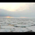 Thumbnail Royalty Free Stock Footage: Antarctica: NL00264