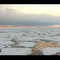 Thumbnail Royalty Free Stock Footage: Antarctica: NL00274