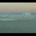Thumbnail Royalty Free Stock Footage: Antarctica: NL00512