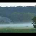 Thumbnail Royalty Free Stock Footage: Fog: NL00543