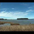 Thumbnail Royalty Free Stock Footage: New Zealand: NL00566