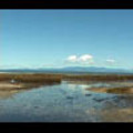 Thumbnail Royalty Free Stock Footage: New Zealand: NL00570