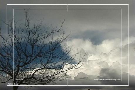 Royalty Free Stock Footage: Clouds: NL00234 - Download Other