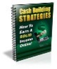 Thumbnail Cash Building Strategies PLR