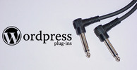 Thumbnail Lead Data Management Plugin For WordPress