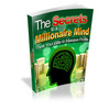 Thumbnail Secrets to a Millionaire Mind 