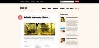 Thumbnail Bueno Premium Wordpress Theme