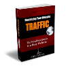 Thumbnail Maximizing Your Website TRAFFIC  - PLR eBook
