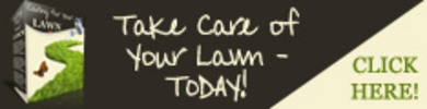 Thumbnail *New Design* Caring-For-Your-Lawn (PLR)