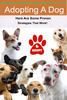 Thumbnail Adopting a Dog?: Here Are Some Proven Strategies That Work! 